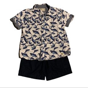 Boys’ shark outfit with shirt and shorts